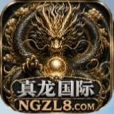 真龙国际
